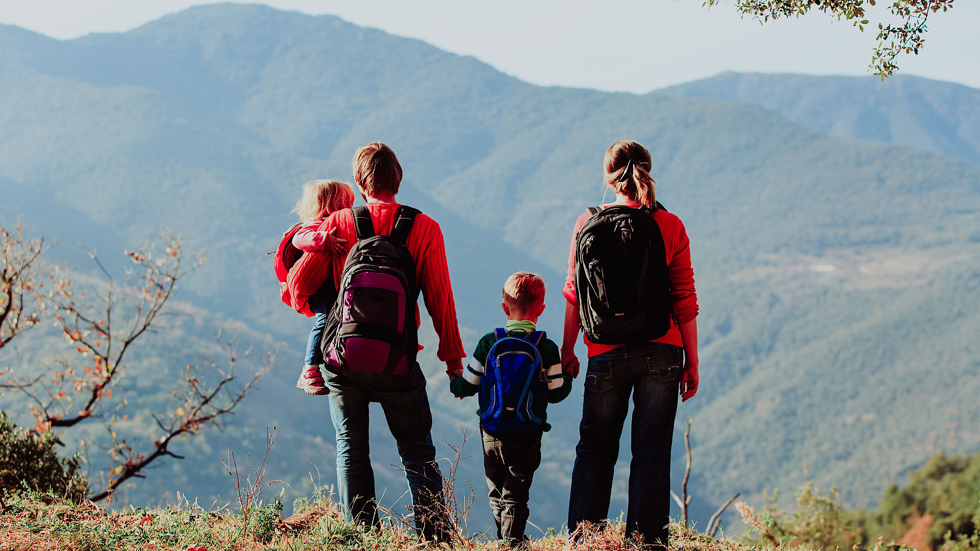 Wandern im Bayerischen Wald Urlaub im Bayerischen Wald